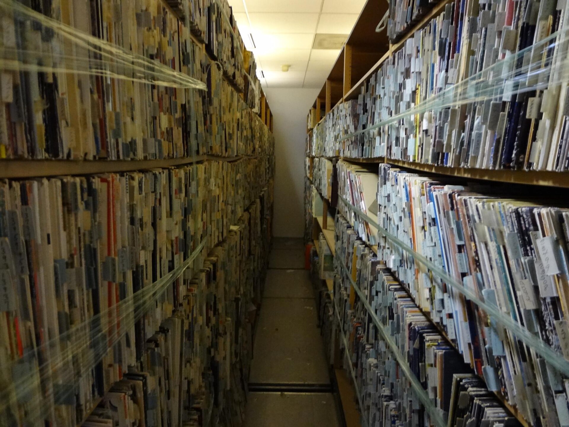 Vinyl records standing upright on a shelf, waiting to be checked